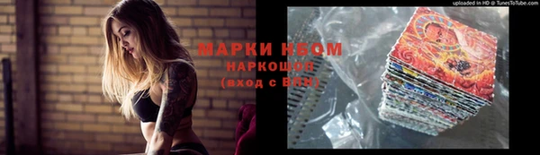 ПСИЛОЦИБИНОВЫЕ ГРИБЫ Иннополис