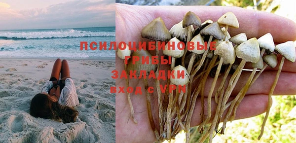 кокс Инсар