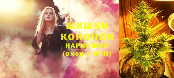 кокс Инсар