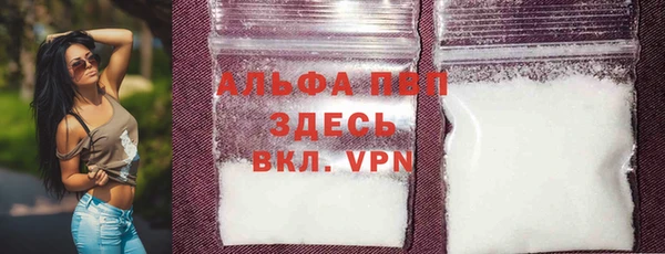 ПСИЛОЦИБИНОВЫЕ ГРИБЫ Иннополис