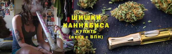 ПСИЛОЦИБИНОВЫЕ ГРИБЫ Иннополис