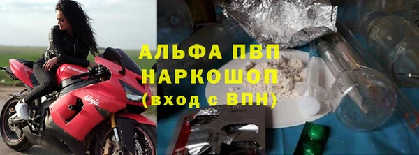 ПСИЛОЦИБИНОВЫЕ ГРИБЫ Иннополис