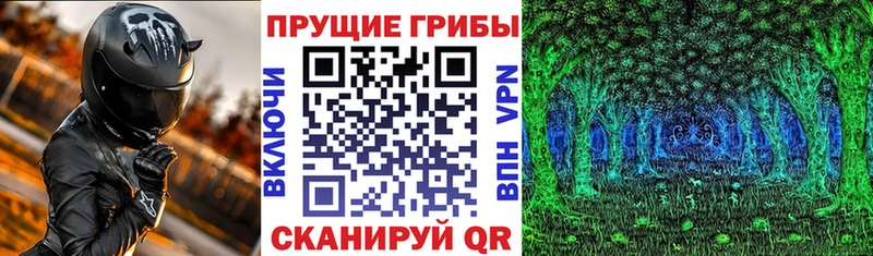 Псилоцибиновые грибы GOLDEN TEACHER  Купить  Омутнинск 
